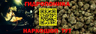 МДПВ Краснознаменск