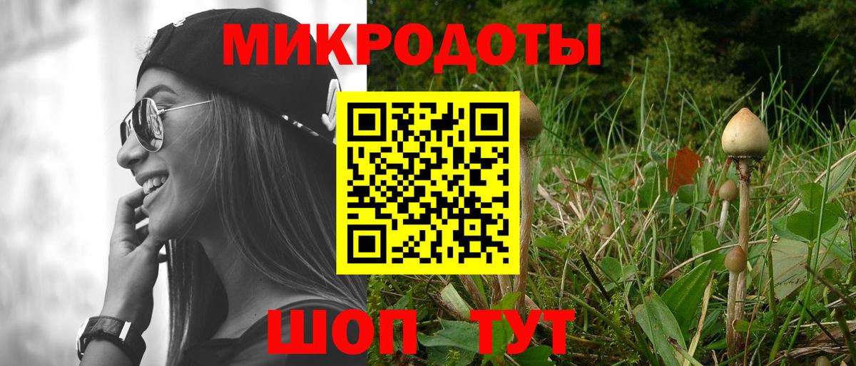 Галлюциногенные грибы мицелий Камышин